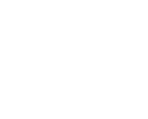 discount icon